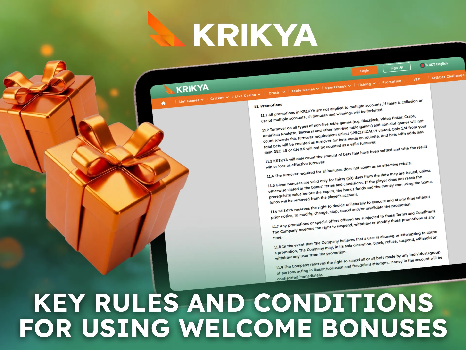 Review key rules and conditions for using Krikya welcome bonuses.