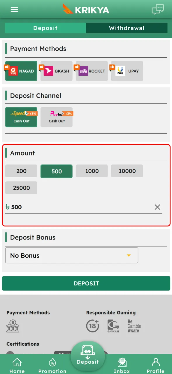 Enter your deposit amount on Krikya and confirm the transaction.
