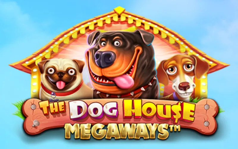 Spin The Dog House Megaways slot on Krikya for big win chances.