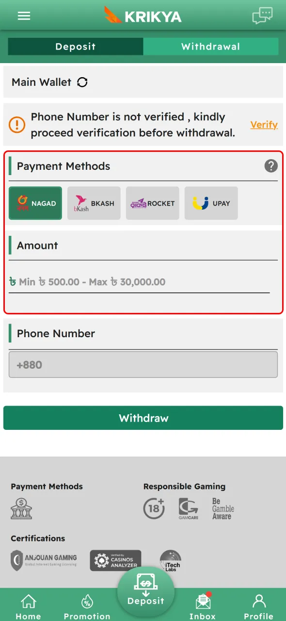 Choose a Krikya payment method and enter the withdrawal amount.
